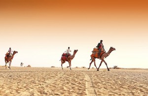 Rajasthan Camel Festival